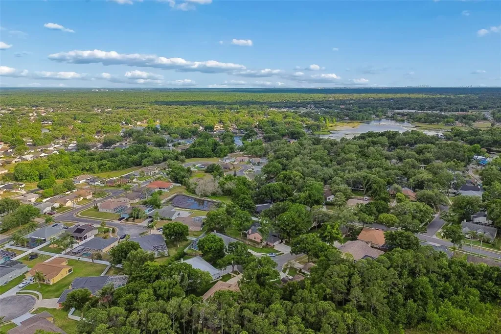 1661 Woodridge Court Lutz FL 33559
