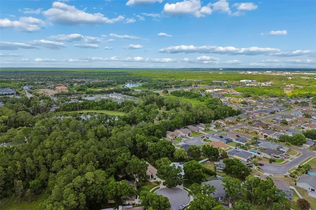 1661 Woodridge Court Lutz FL 33559