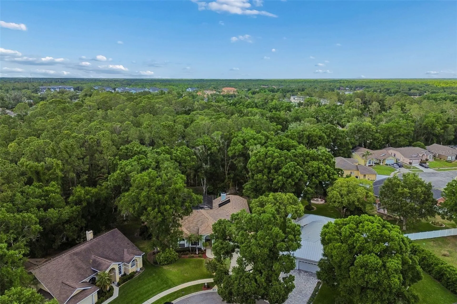 1661 Woodridge Court Lutz FL 33559