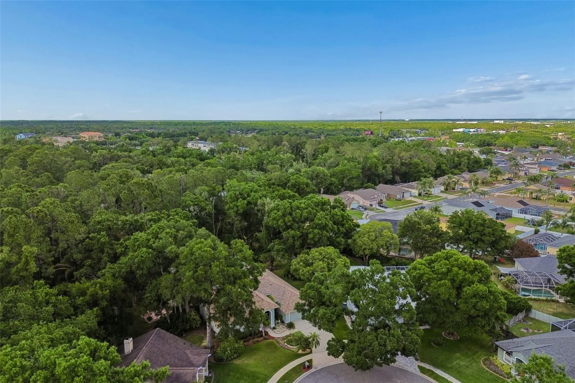 1661 Woodridge Court Lutz FL 33559