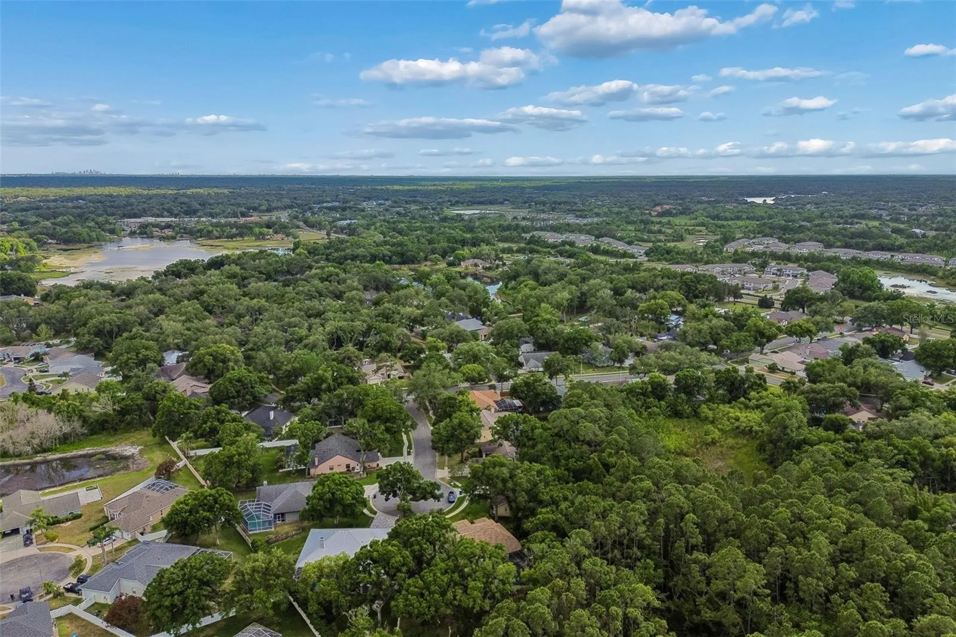 1661 Woodridge Court Lutz FL 33559