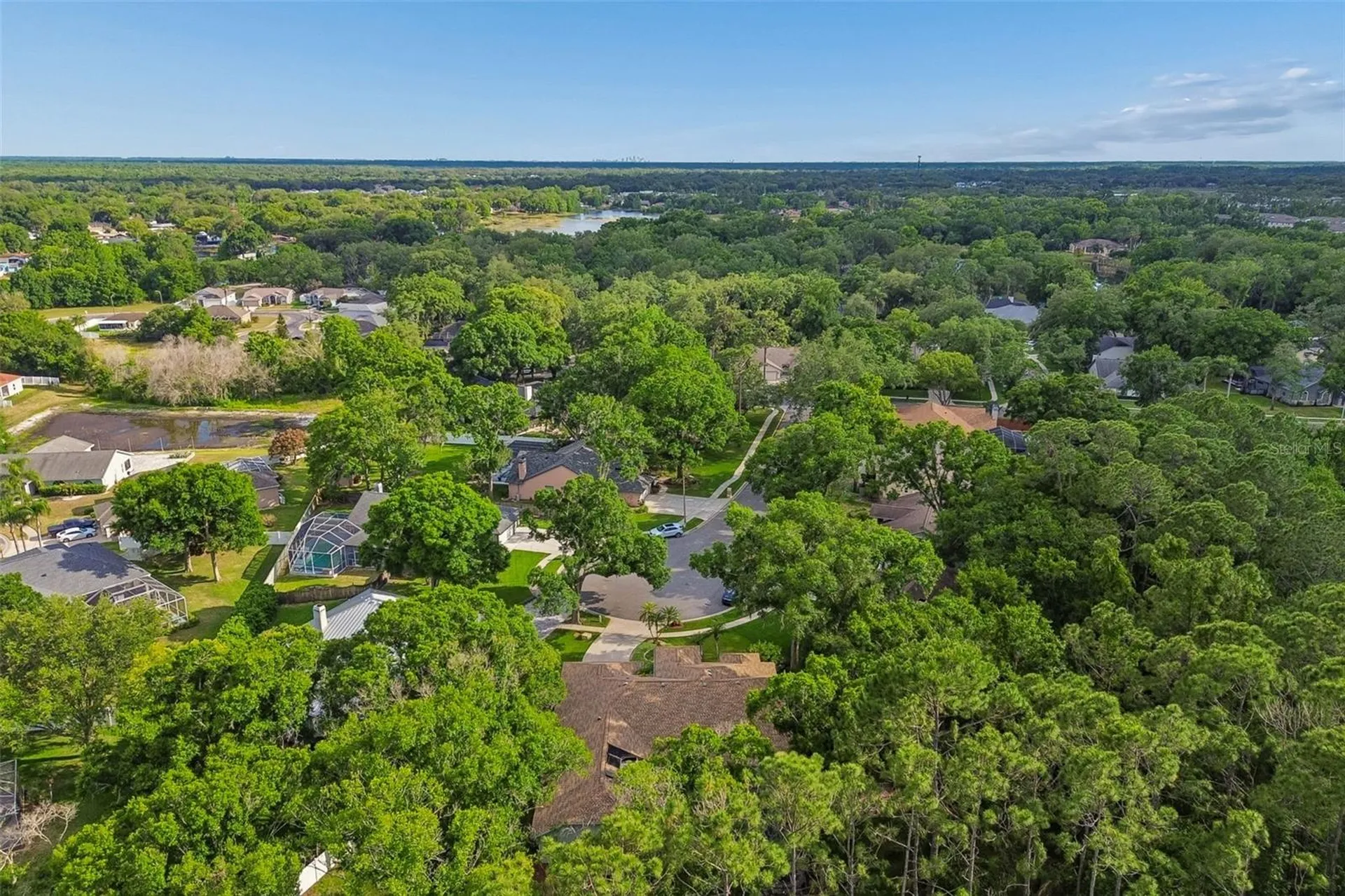 1661 Woodridge Court Lutz FL 33559