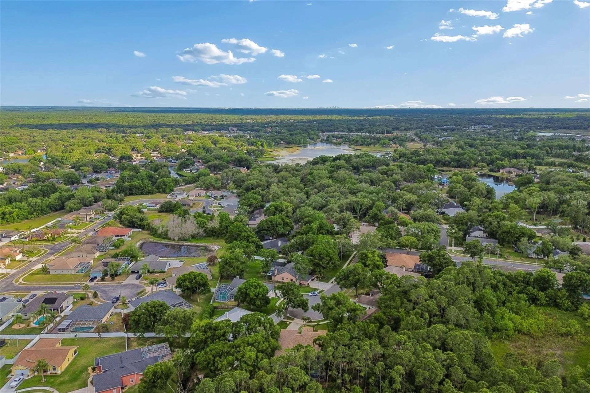 1661 Woodridge Court Lutz FL 33559