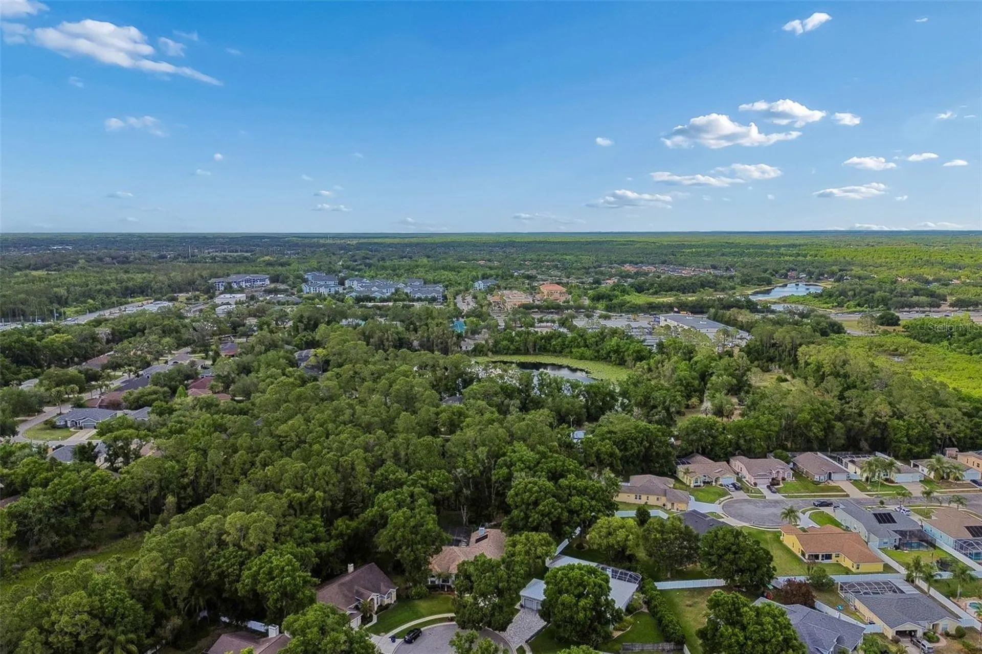 1661 Woodridge Court Lutz FL 33559