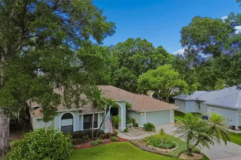 1661 Woodridge Court Lutz FL 33559