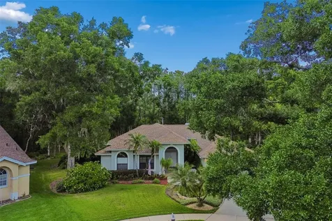 1661 Woodridge Court Lutz FL 33559