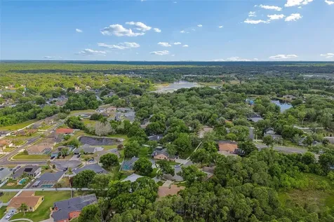 1661 Woodridge Court Lutz FL 33559