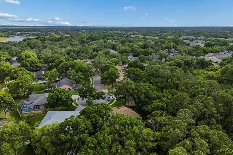 1661 Woodridge Court Lutz FL 33559