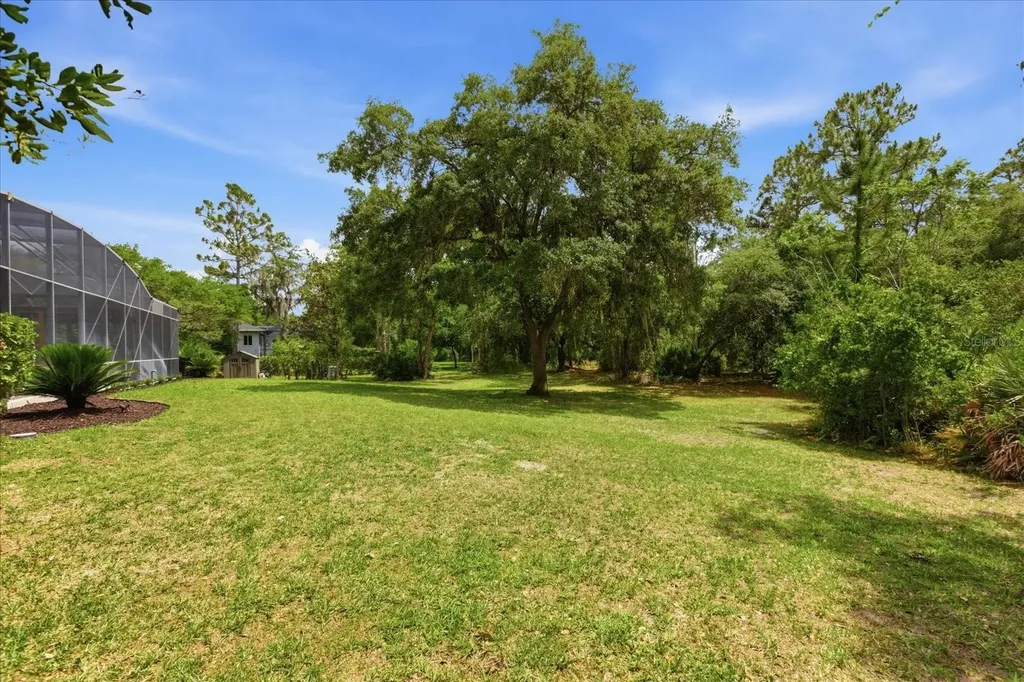 14106 Oakwood Cove Lane Orlando FL 32832
