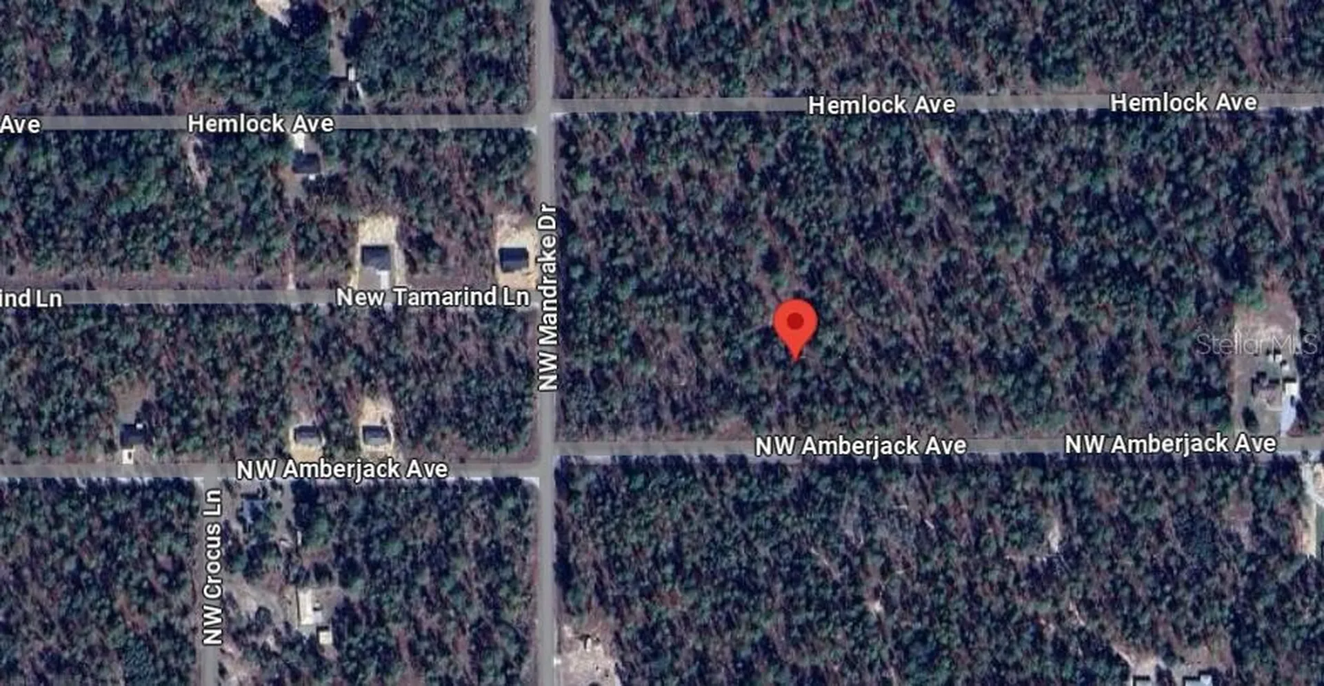 NW Amberjack, Lot #33 Dunnellon FL 34431