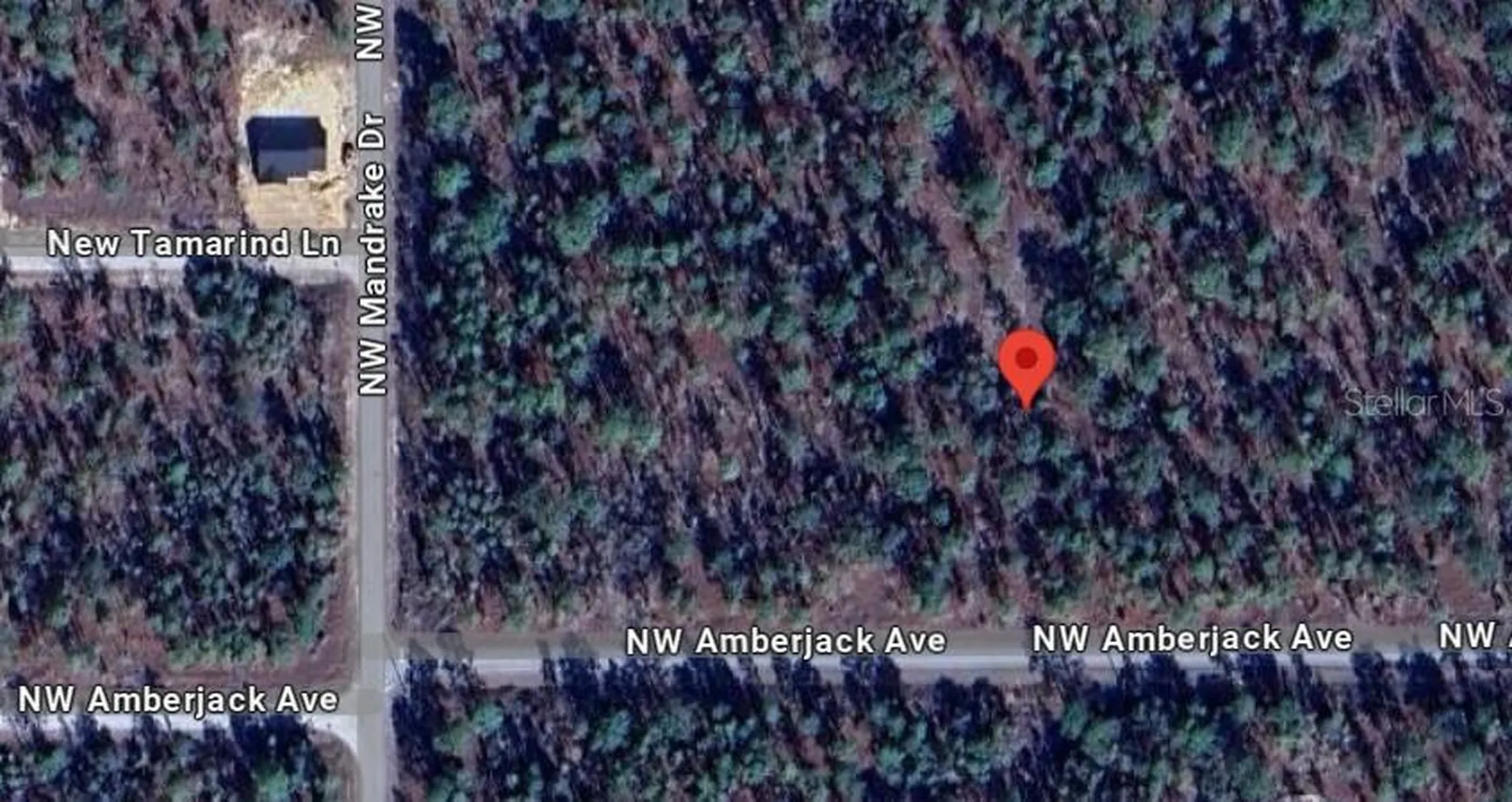 NW Amberjack, Lot #33 Dunnellon FL 34431