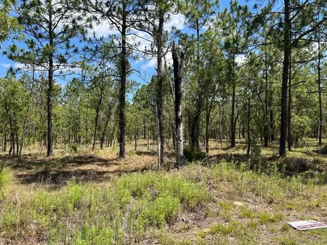 NW Amberjack, Lot #33 Dunnellon FL 34431