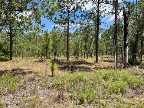 NW Amberjack, Lot #33 Dunnellon FL 34431