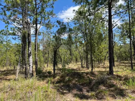 NW Amberjack, Lot #33 Dunnellon FL 34431