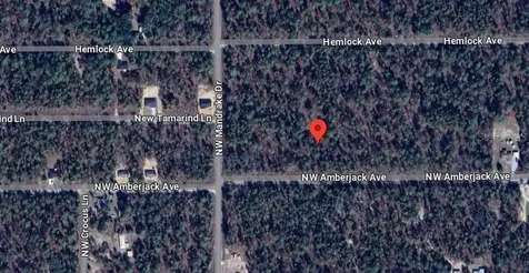 NW Amberjack, Lot #33 Dunnellon FL 34431