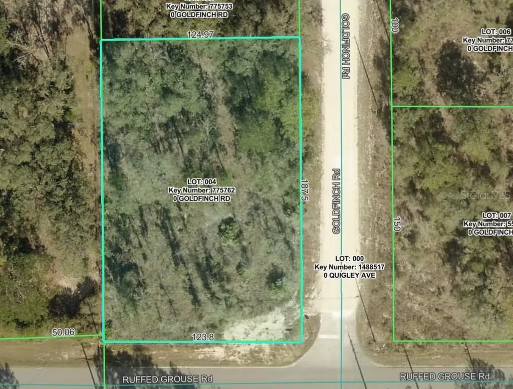 Goldfinch Road Weeki Wachee FL 34614