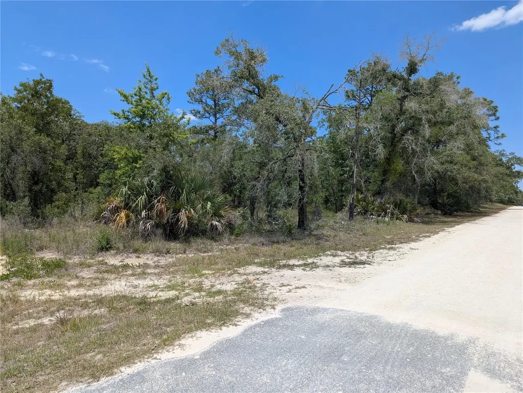 Goldfinch Road Weeki Wachee FL 34614