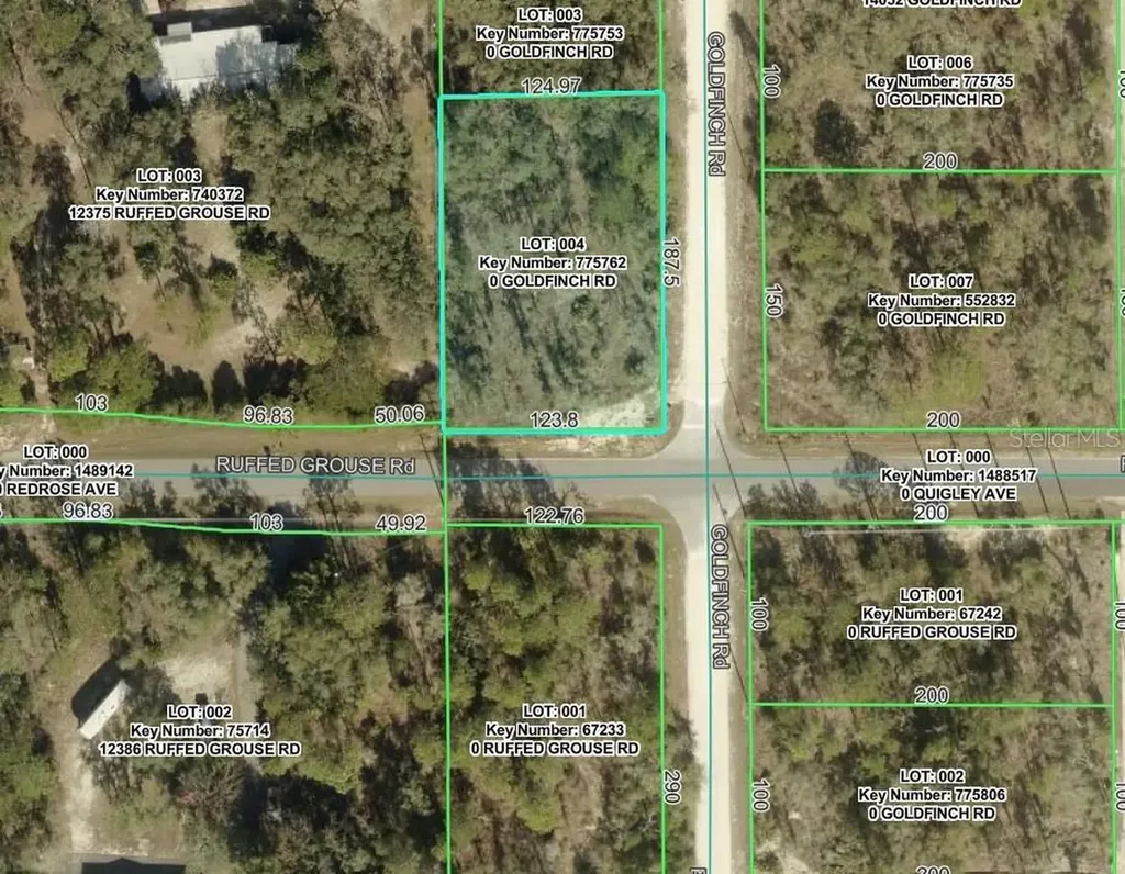 Goldfinch Road Weeki Wachee FL 34614