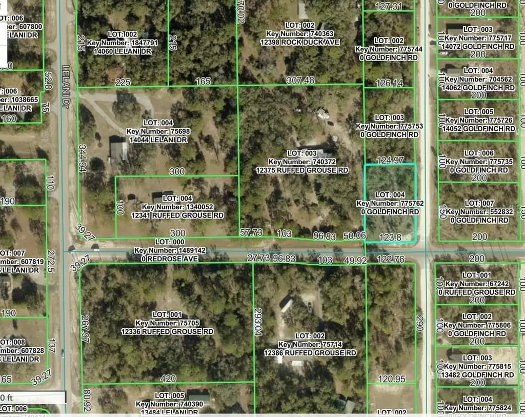 Goldfinch Road Weeki Wachee FL 34614
