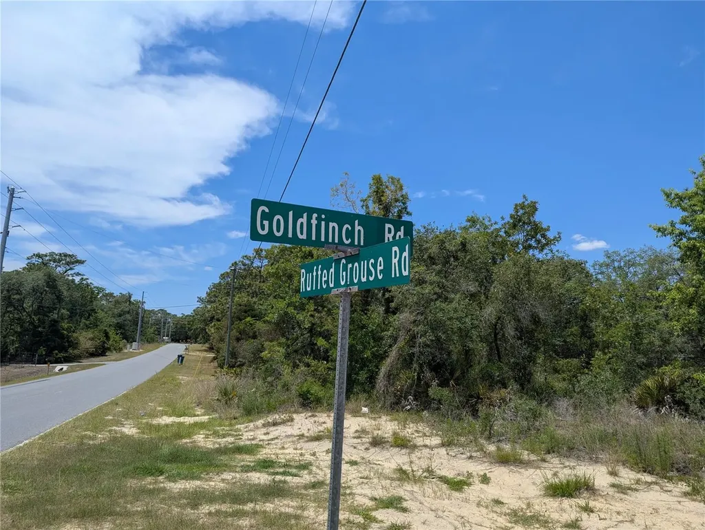 Goldfinch Road Weeki Wachee FL 34614