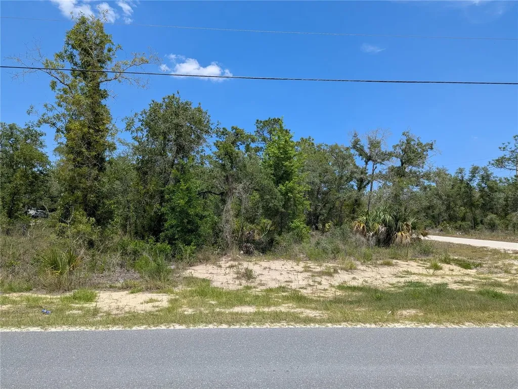 Goldfinch Road Weeki Wachee FL 34614