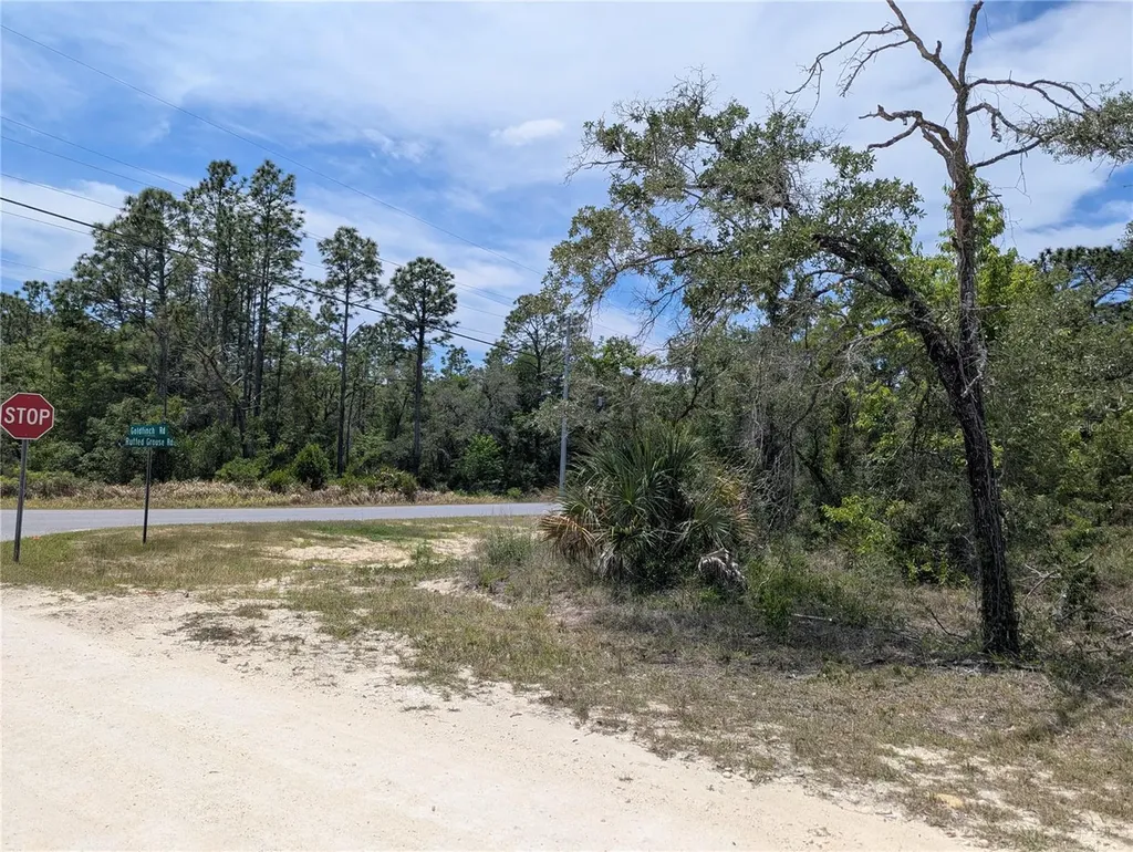 Goldfinch Road Weeki Wachee FL 34614