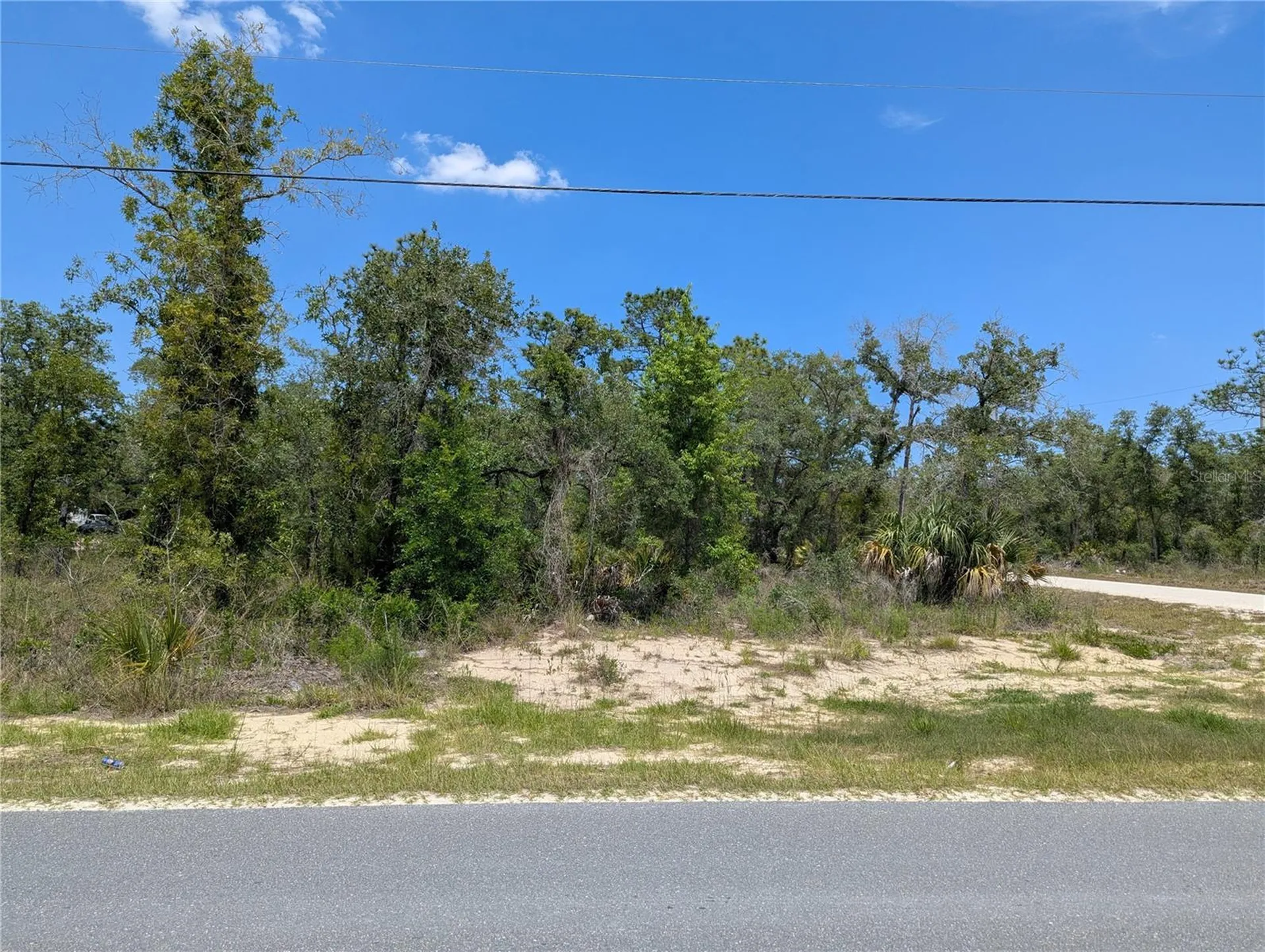 Goldfinch Road Weeki Wachee FL 34614