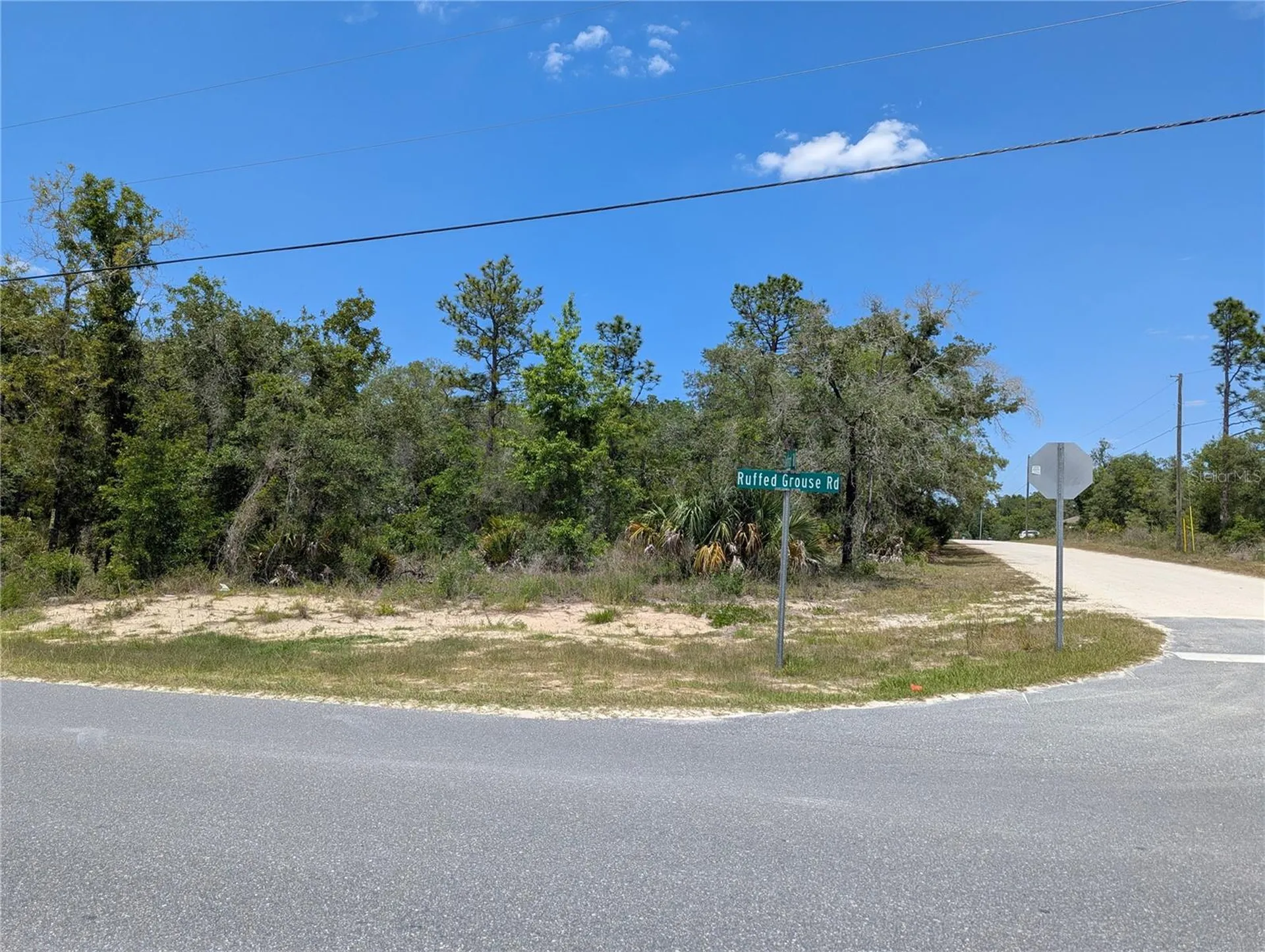 Goldfinch Road Weeki Wachee FL 34614