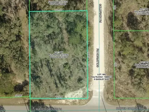 Goldfinch Road Weeki Wachee FL 34614