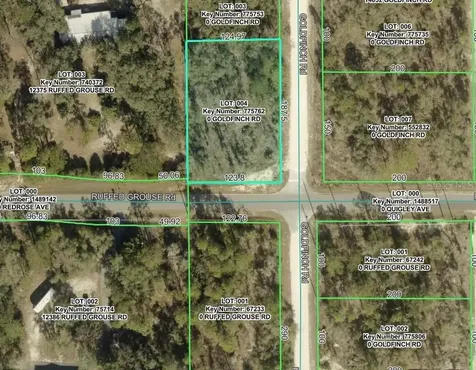 Goldfinch Road Weeki Wachee FL 34614