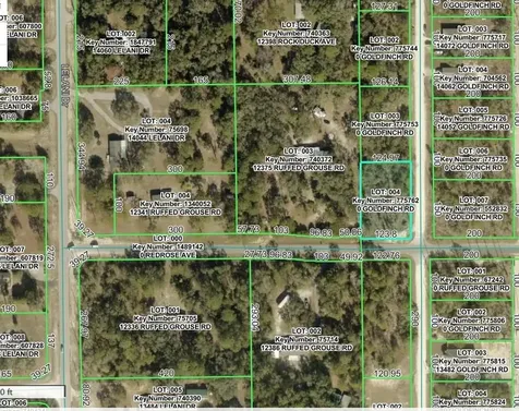 Goldfinch Road Weeki Wachee FL 34614