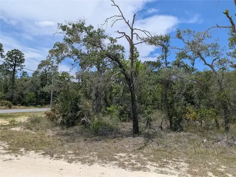 Goldfinch Road Weeki Wachee FL 34614