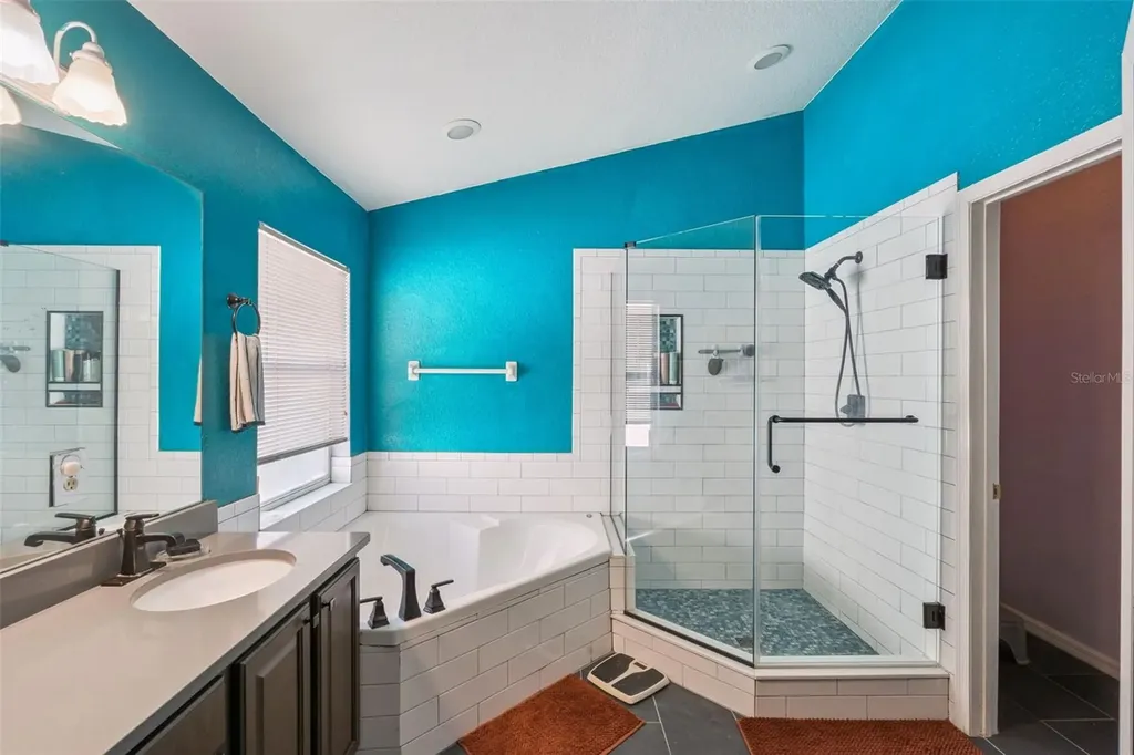 1253 Brandy Lake View Circle Winter Garden FL 34787