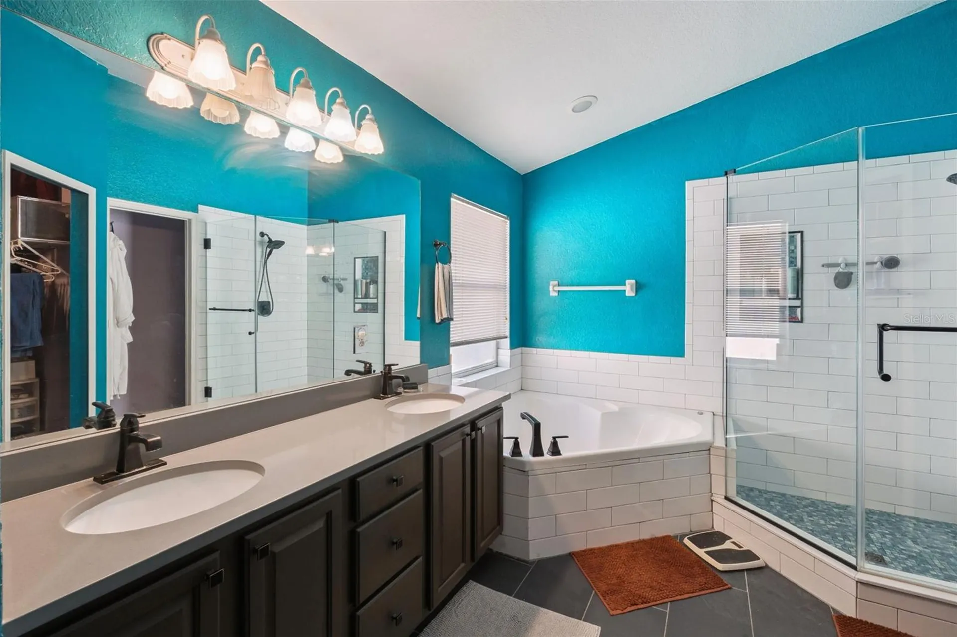 1253 Brandy Lake View Circle Winter Garden FL 34787
