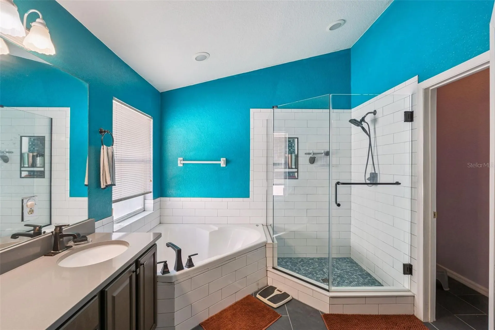 1253 Brandy Lake View Circle Winter Garden FL 34787