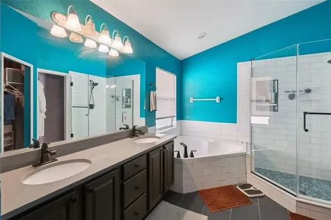 1253 Brandy Lake View Circle Winter Garden FL 34787