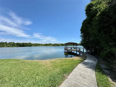 1253 Brandy Lake View Circle Winter Garden FL 34787