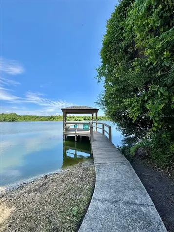 1253 Brandy Lake View Circle Winter Garden FL 34787