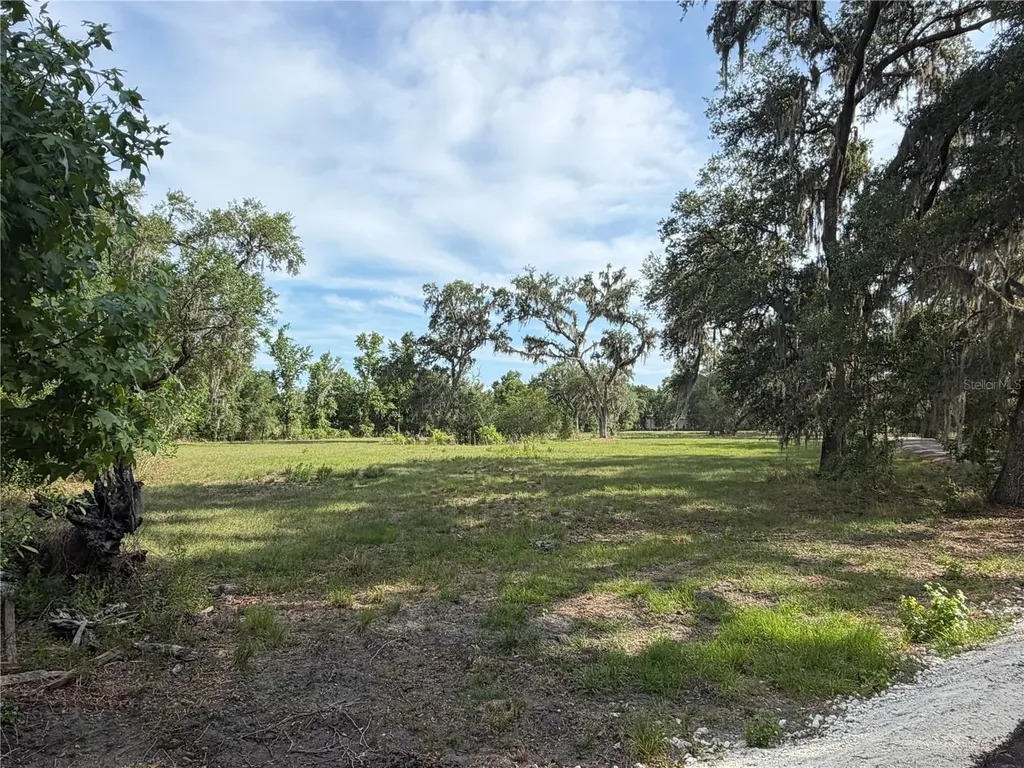 000 Palomino Lakes Drive Dade City FL 33523