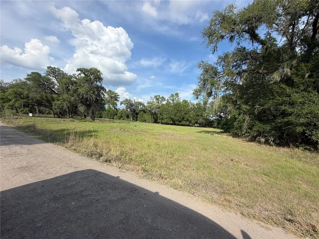 000 Palomino Lakes Drive Dade City FL 33523
