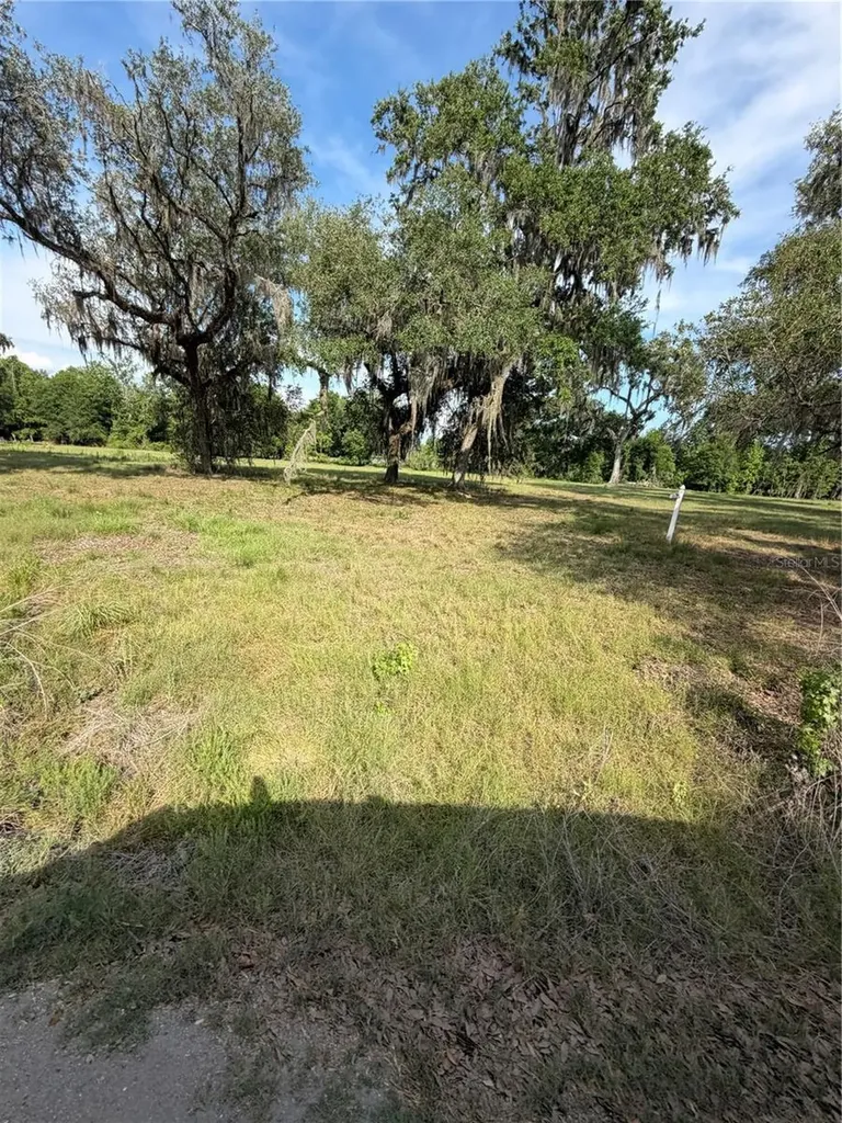 000 Palomino Lakes Drive Dade City FL 33523