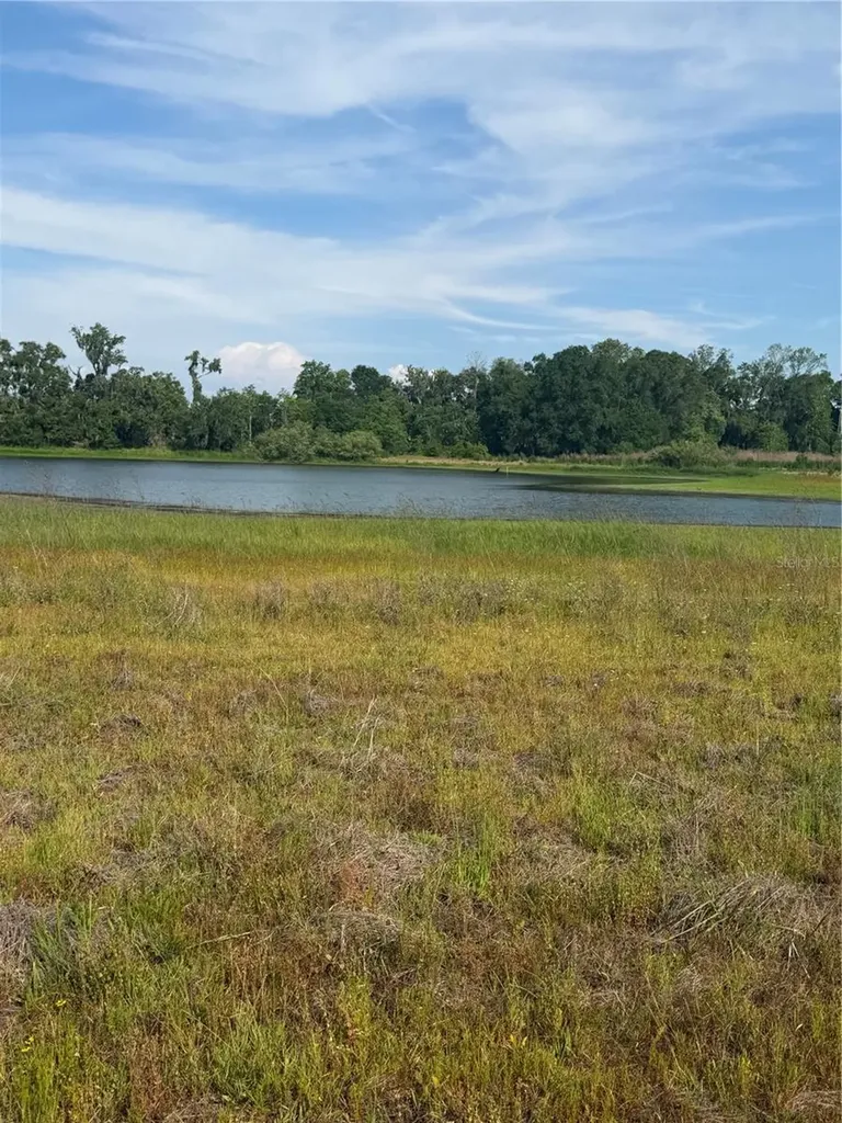 000 Palomino Lakes Drive Dade City FL 33523