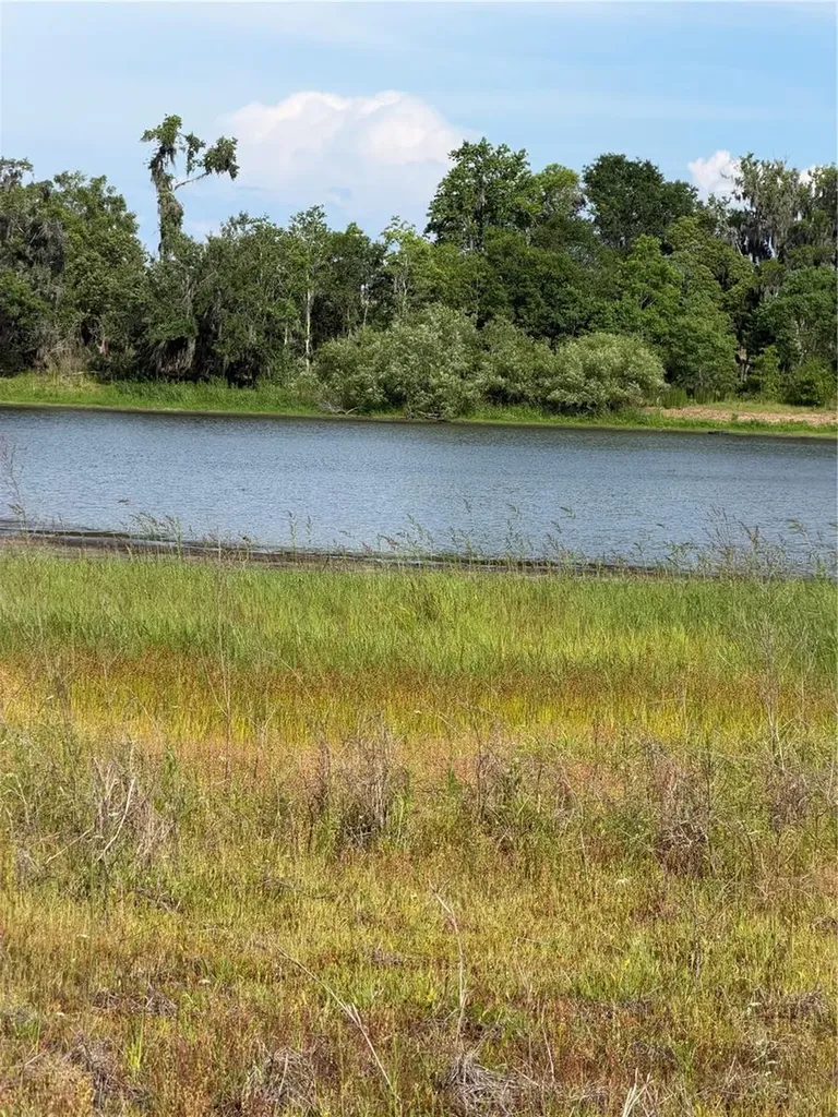 000 Palomino Lakes Drive Dade City FL 33523