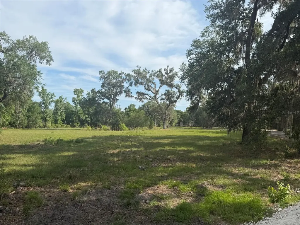 000 Palomino Lakes Drive Dade City FL 33523