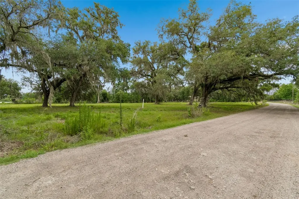 000 Palomino Lakes Drive Dade City FL 33523