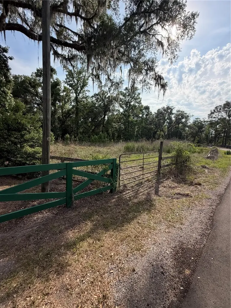 000 Palomino Lakes Drive Dade City FL 33523