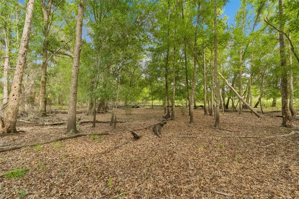 000 Palomino Lakes Drive Dade City FL 33523