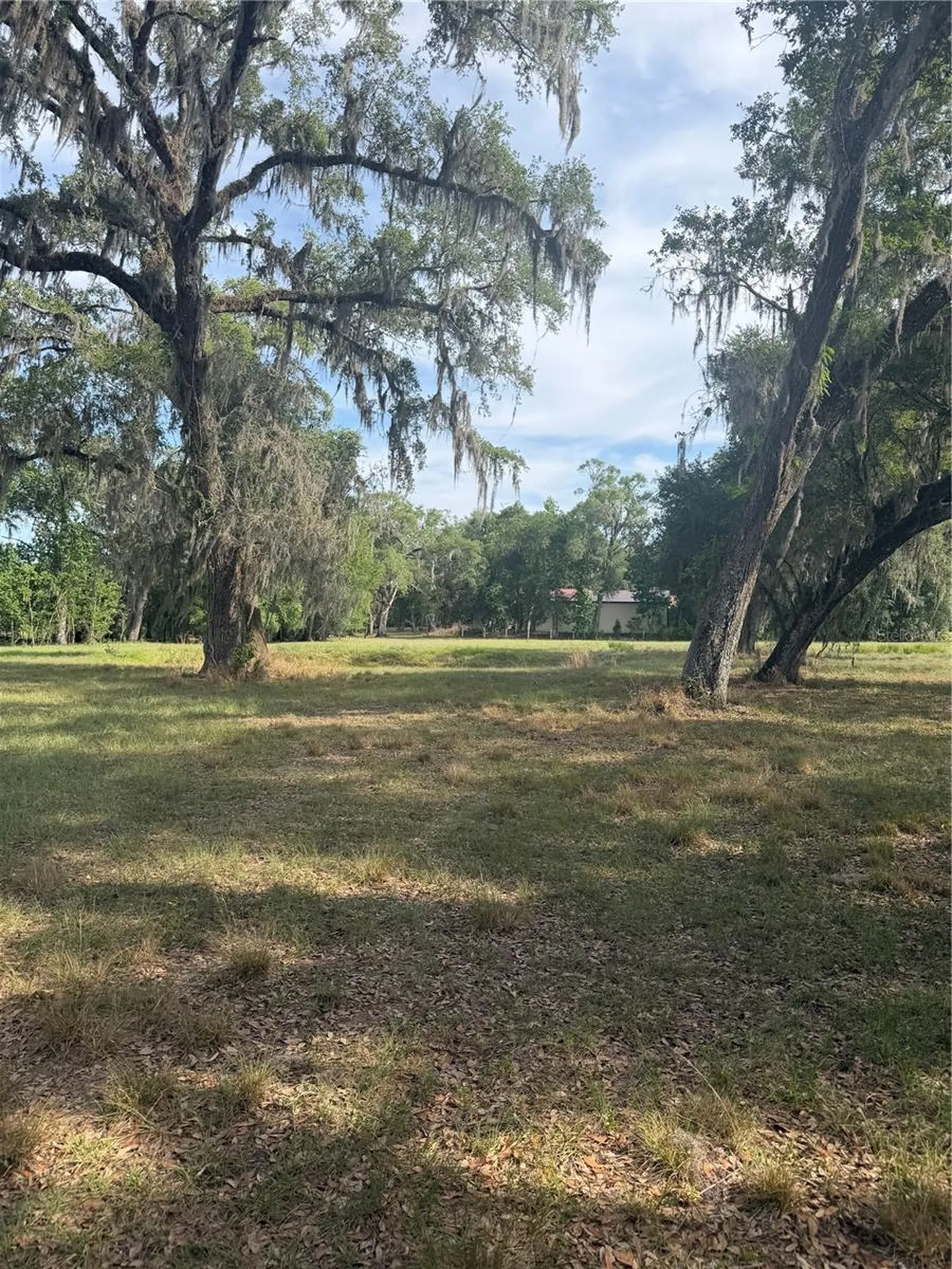 000 Palomino Lakes Drive Dade City FL 33523