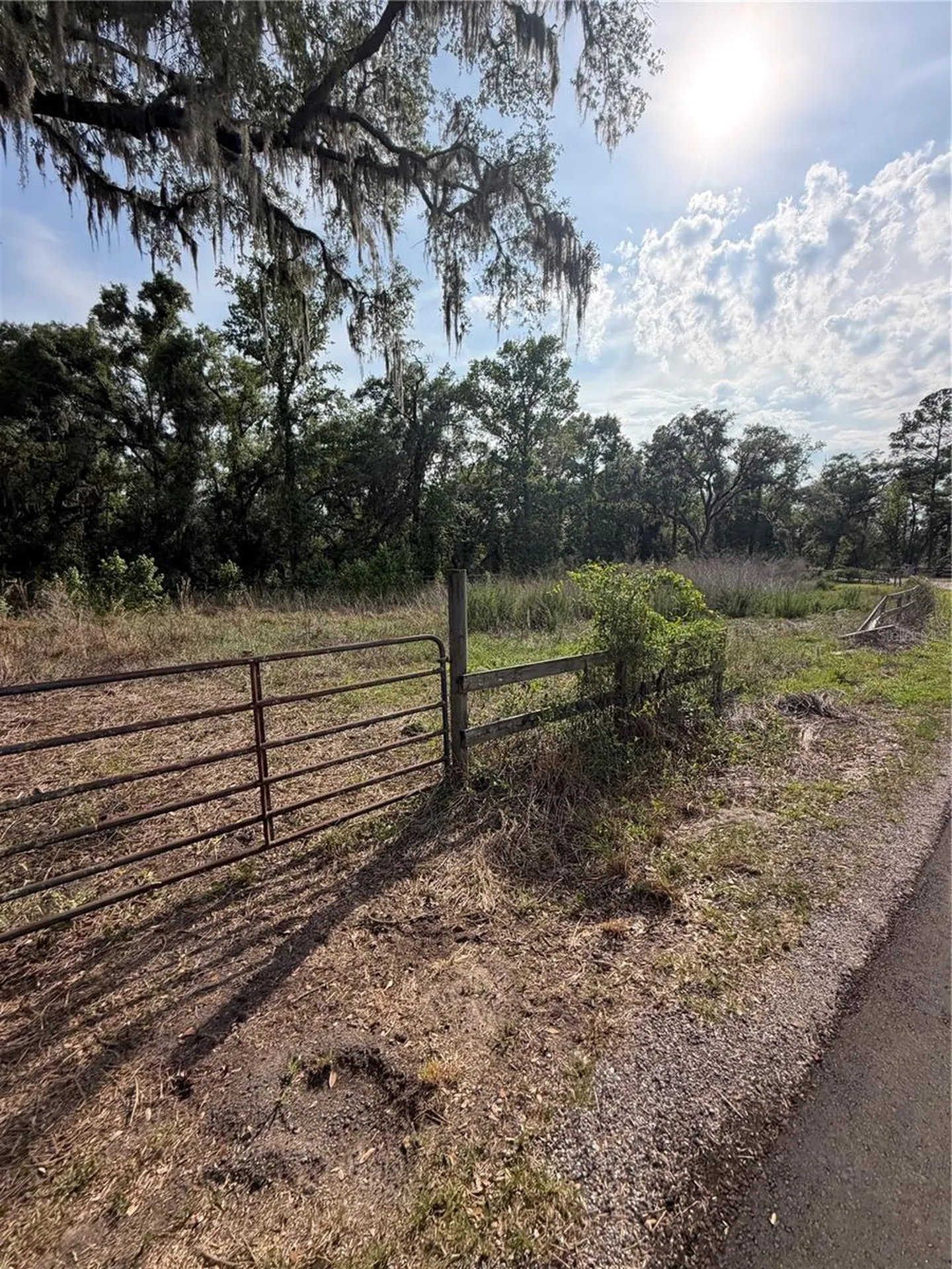 000 Palomino Lakes Drive Dade City FL 33523