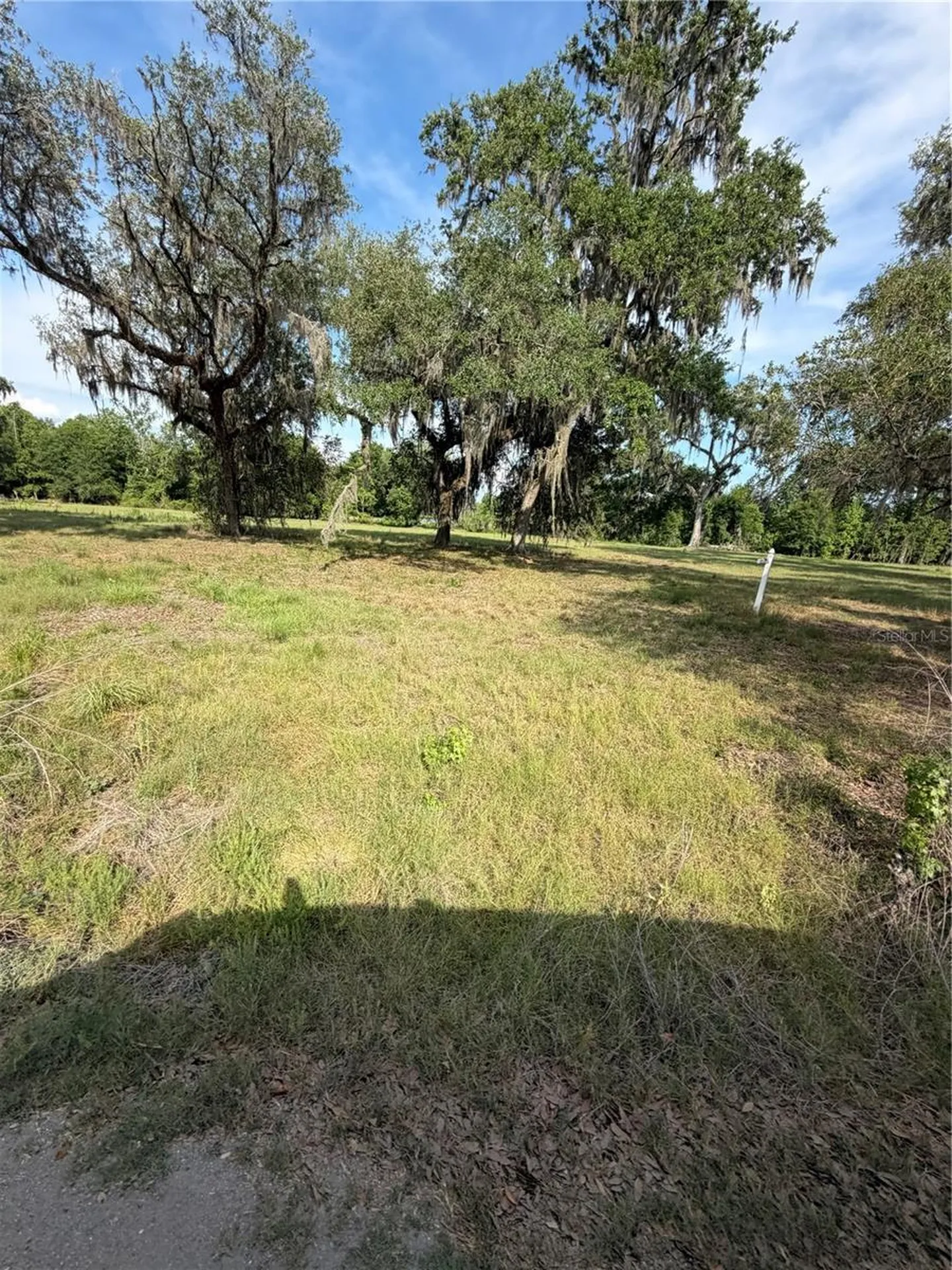 000 Palomino Lakes Drive Dade City FL 33523